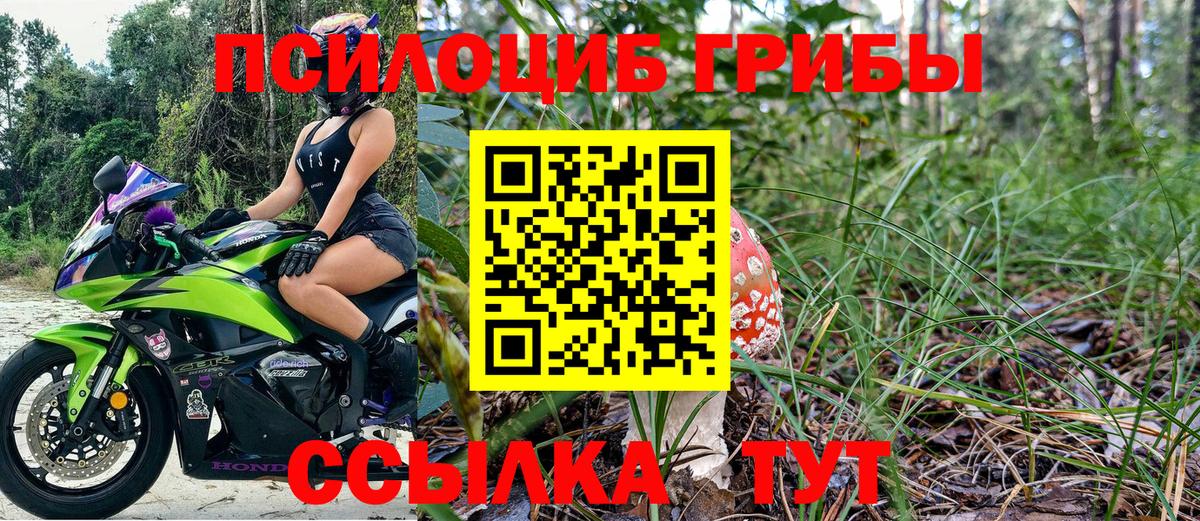Псилоцибиновые грибы GOLDEN TEACHER  Вход с VPN  Нефтекамск 